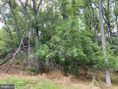 Lot 3 Amtower Way, Harpers Ferry, WV 25425 - photo 5