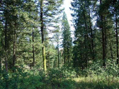 Nicely Wooded