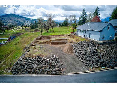 1716 Scardi Blvd unit 174, Sutherlin, OR 97479 - photo 3