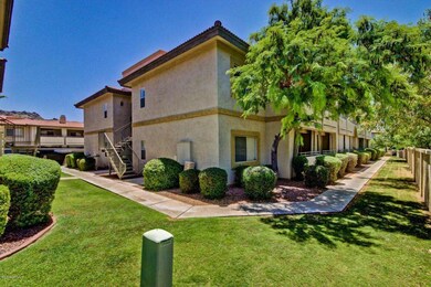 Cave Creek  #2108 (7)