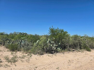 0 Abst 1293 Sur 1739 unit 20254520, Laredo, TX 78043 - photo 2