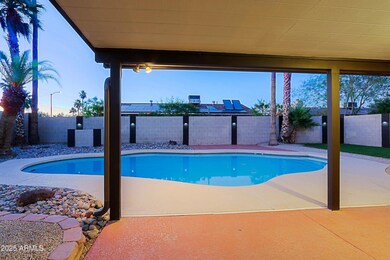 Backyard 8