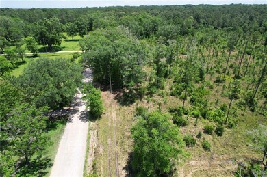 Bird's eye view of a forest