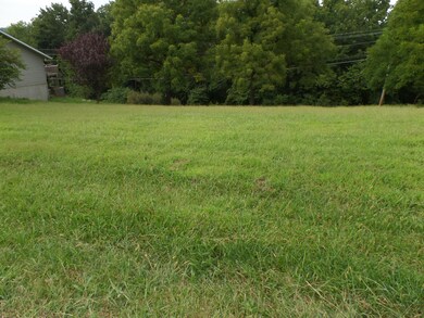 Lot 7 Irish Hills Blvd, Kimberling City, MO 65686 - photo 3