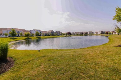 Pond