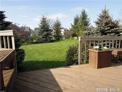 Yard/Garden