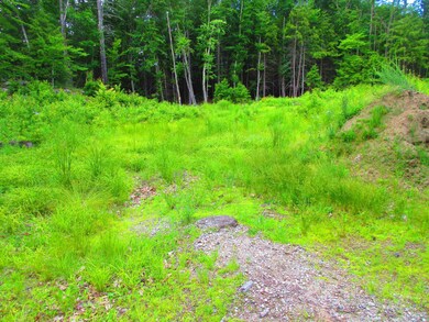 0 Ruonala Rd unit 4917933, Milford, NH 03055 - photo 2