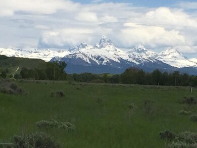 Teton View