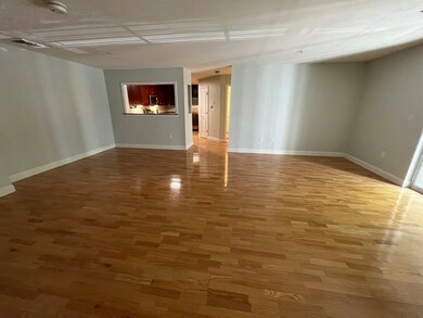 320 Rindge Ave unit 204, Cambridge, MA 02140 - photo 3