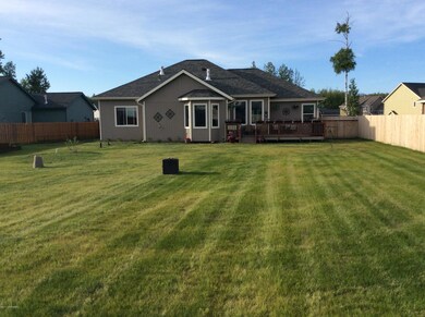 Fetlock backyard