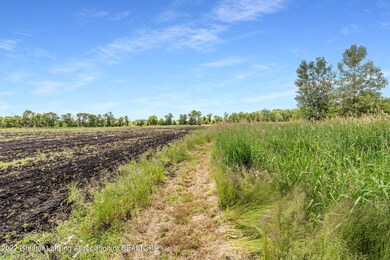 IMG_4729