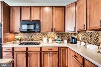 11405 Iager Blvd, Fulton, MD 20759 - photo 7