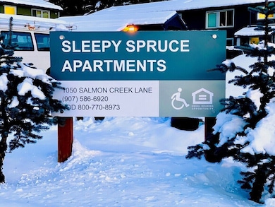 1050 Salmon Creek Ln, Juneau, AK 99801 - photo 4