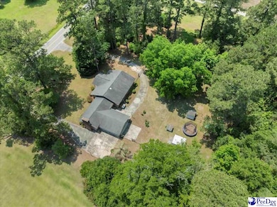 821 W Shirley Rd, Pamplico, SC 29583 - photo 3