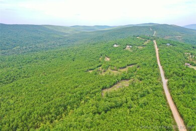 31 SW 1028th, Clayton, OK 74571 - photo 4