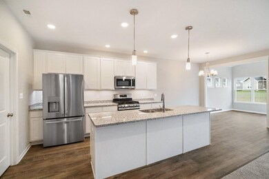 11411 W 123rd Ave, Cedar Lake, IN 46303 - photo 3