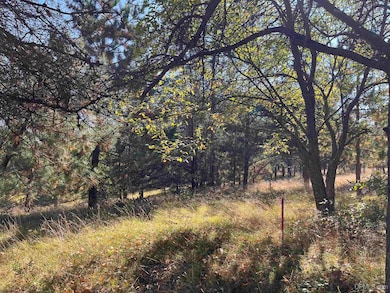 TBD E Martin Lake Rd, Forsyth Township, MI 49885 - photo 5