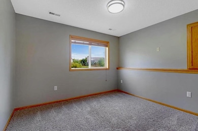 19101 Gunter Way, Big Lake, MN 55309 - photo 6