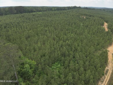 DJI_20230524154327_0002_V