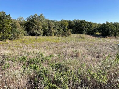 149 Paradise Oaks Ct, Paradise, TX 76073 - photo 2