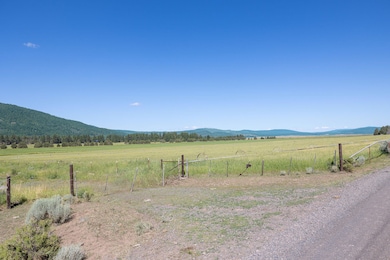 17025 Mitchell Rd, Klamath Falls, OR 97625 - photo 4