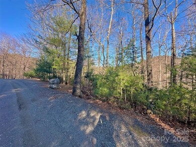 TBD Moonbeam Ln unit 24, 25, Deep Gap, NC 28618 - photo 3