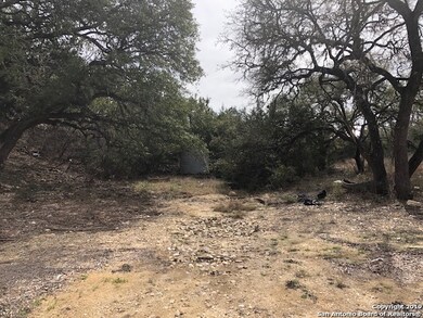 10108 Nina Ridge, San Antonio, TX 78255 - photo 5