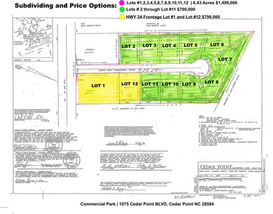 Plat and Pricing for 1075 Cedar Point BL