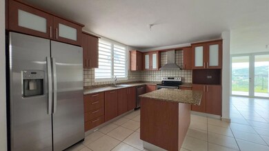 91 Calle Sendero Corto, Canovanas, PR 00729 - photo 4