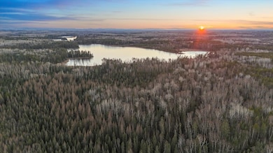 TBD Arthur Lake, Babbitt, MN 55706 - photo 2