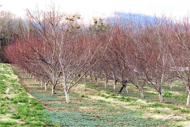 Just a hint of buds.  Won't be long