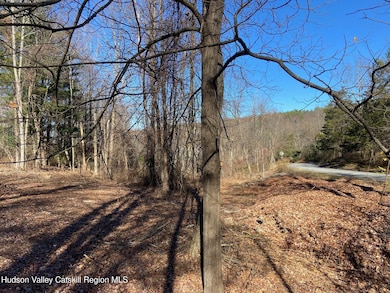 0 Thomas Rd, Claverack, NY 12521 - photo 7