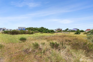 438 S Portal Loop SW, Ocean Shores, WA 98569 - photo 5