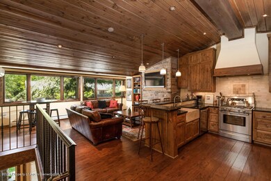 718 S Mill St unit 4, Aspen, CO 81611 - photo 7