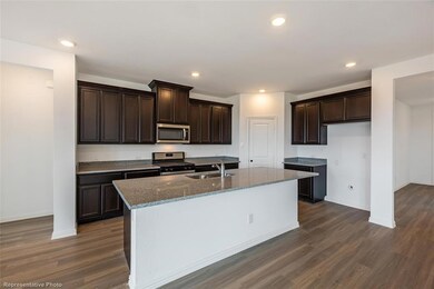 3814 Blue Stem  Kitchen 3