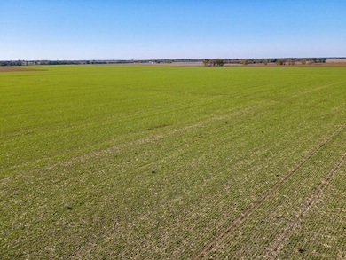 Baseline Blvd and Hwy 37, Golden City, MO 64748 - photo 4