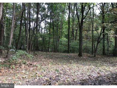 218 Sousley Rd, Lenhartsville, PA 19534 - photo 2