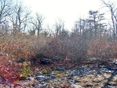 102 Blue Heron Way, Hawley, PA 18428 - photo 3