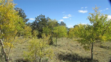 1044 Buffalo Ridge Rd, Como, CO 80432 - photo 4