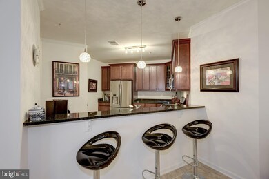 24636 Woolly Mammoth Terrace unit 201, Aldie, VA 20105 - photo 4