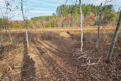 0 Welch Rd unit 25650595, Union Township, WI 54893 - photo 3