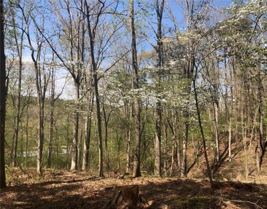 0 Clivenden Ln unit 1166638, Bella Vista, AR 72714 - photo 4