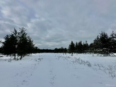 TBD Airfield Rd, Gwinn, MI 49841 - photo 6