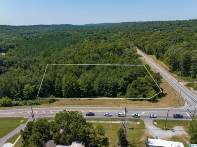 0000 Highway 52 unit 12-6-13-0-000-021.00, County, AL 35080 - photo 2