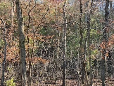 0 E Redbud St, Springfield, MO 65804 - photo 2