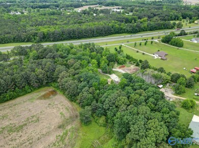 20290 Looney Rd, Athens, AL 35613 - photo 4