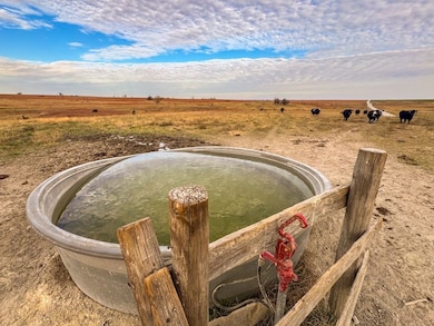 R Road unit LotWP001, Damar, KS 67632 - photo 5