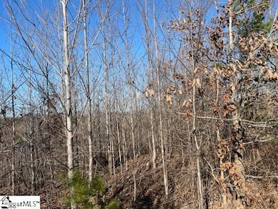 00 Welcome Church Rd, Westminster, SC 29693 - photo 5