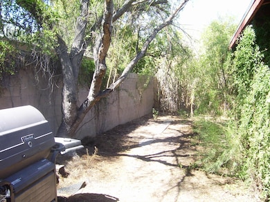 431 N Olsen Ave unit 2, Tucson, AZ 85719 - photo 5