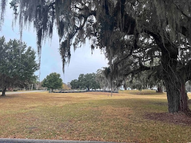 616 Green Meadows Cir unit Lot 23, Georgetown, SC 29440 - photo 2